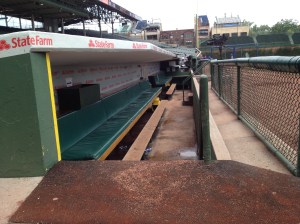 Cubs Dugout